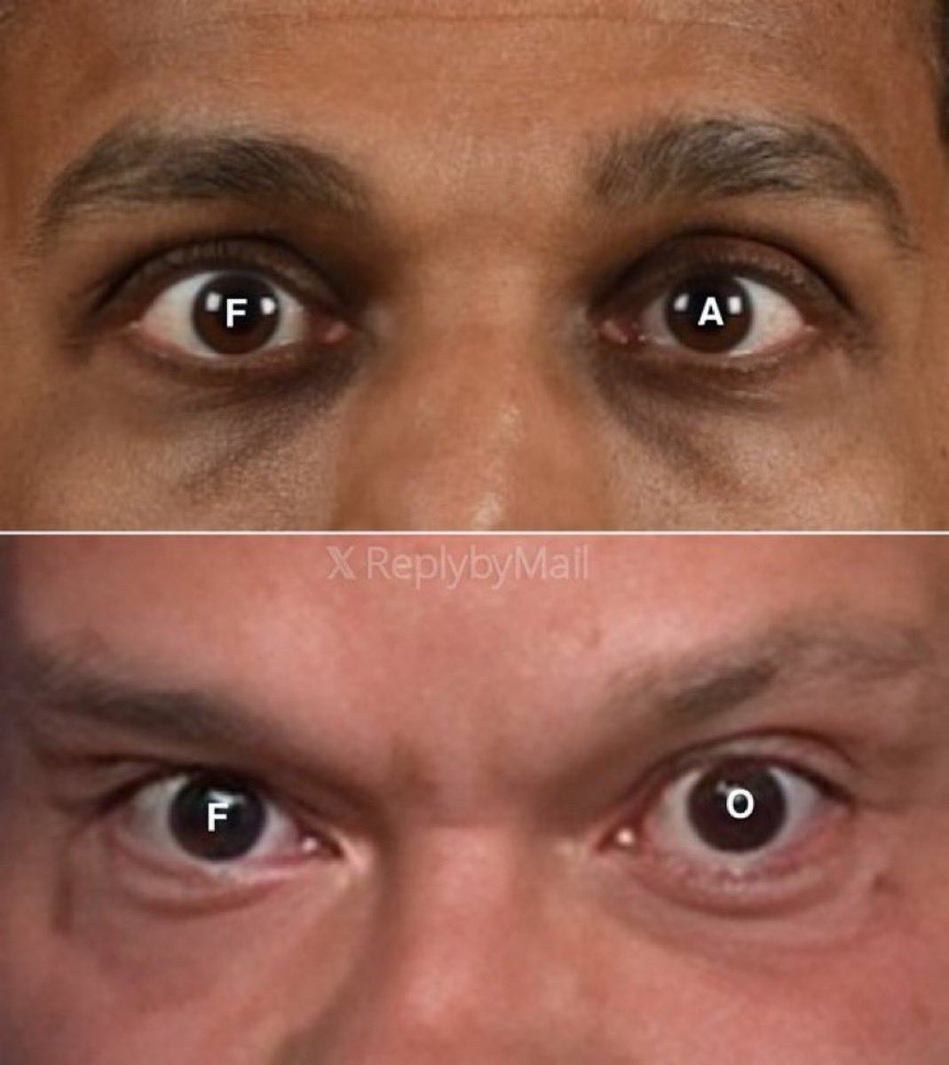 Kash Patel and Dan Bongino are watching…

Tick tock