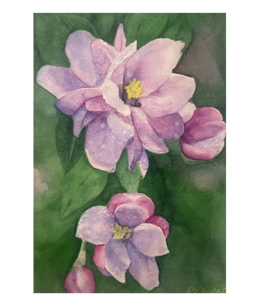 VanArtGuild's tweet photo. Artist: Pat Vickers 
Morning Dew
11x14 Watercolour 
@VanArtGuild 
See more at: https://t.co/R6PKnLXRFk https://t.co/5OkTAAfvjs