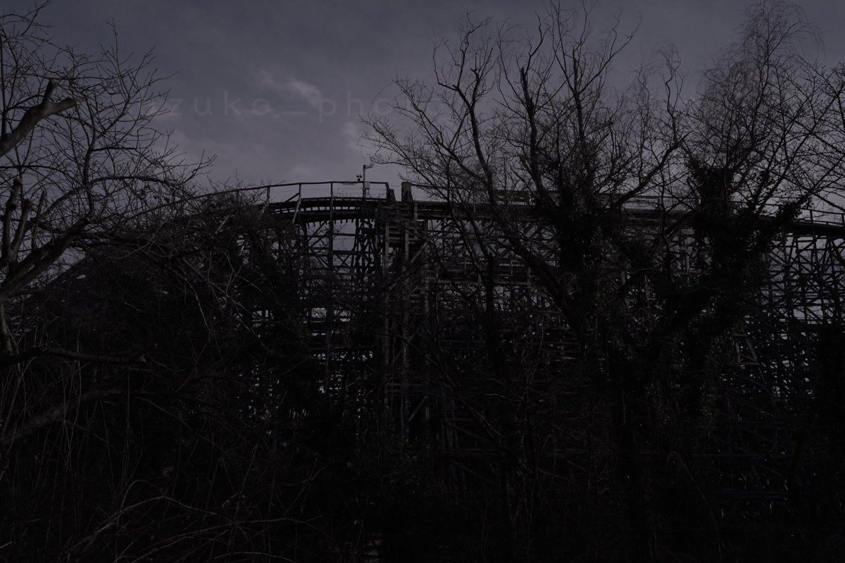 うずこ/𝚄𝚣𝚞𝚔𝚘 tweet media