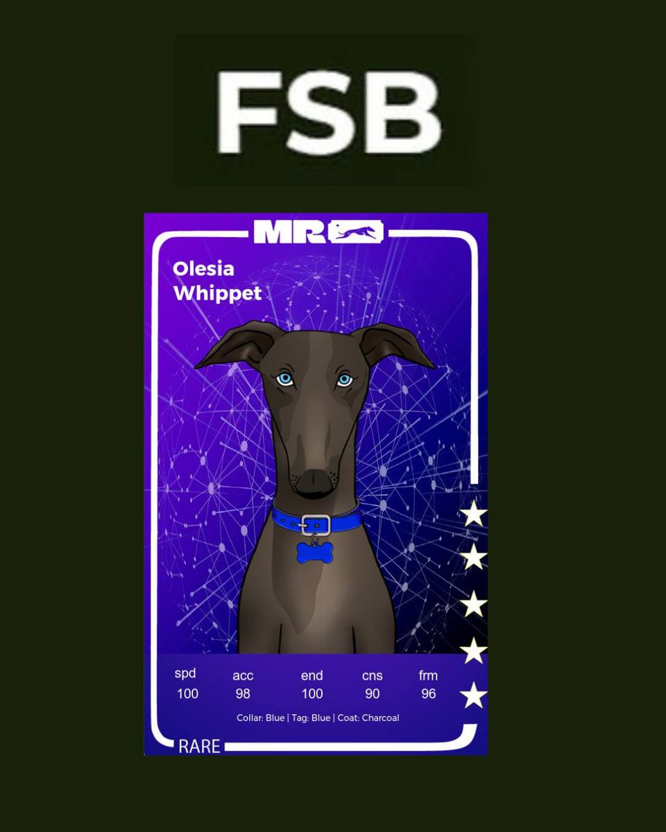 0xUsurper's tweet image. 𝐅𝐒𝐁 places 1st his first time!          

Brought home 3850 FROTH ($24.43)  

#WhippetRacing #Racing #Web3 #Web3Games #Web3Gaming #CryptoGaming $FROTH $POL @muzzle_run