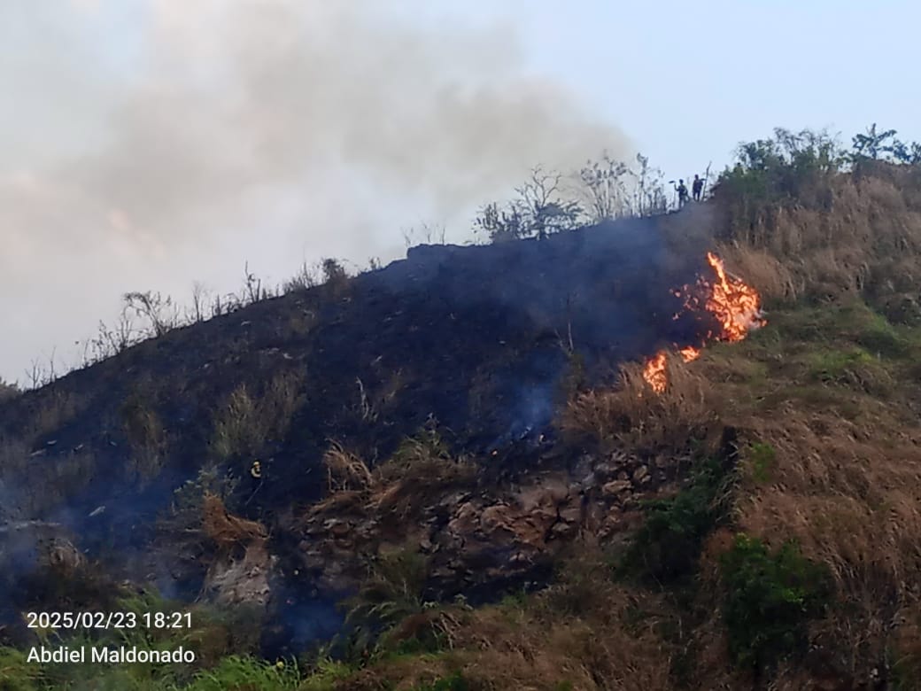 pcmbi (@pcmbi) on Twitter photo #23Feb Combate y Extinción de Incendio 🔥 Forestal Fila La Cabrera PN Henri Pittier ⛰️ Sector La Candelaria #MBI <a href="/BrullerbyPSUV/">Brullerby Suárez</a> <a href="/droopy171/">Alexander Sanchez</a> <a href="/PCivil_Ve/">Protección Civil</a> @Zoedanaraguapc <a href="/DulceyParadaM/">G/D Marlon Dulcey Parada</a> <a href="/Vgrpc_MIJP/">VGRPC</a> <a href="/Forestales_13/">Forestales El Limon</a> #23Feb Combate y Extinción de Incendio 🔥 Forestal Fila La Cabrera PN Henri Pittier ⛰️ Sector La Candelaria #MBI <a href="/BrullerbyPSUV/">Brullerby Suárez</a> <a href="/droopy171/">Alexander Sanchez</a> <a href="/PCivil_Ve/">Protección Civil</a> @Zoedanaraguapc <a href="/DulceyParadaM/">G/D Marlon Dulcey Parada</a> <a href="/Vgrpc_MIJP/">VGRPC</a> <a href="/Forestales_13/">Forestales El Limon</a>