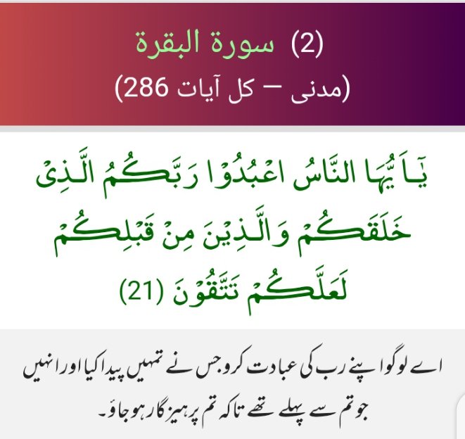 اعوذباللہ من الشیطان الرجیم 
بسم اللہ الرحمٰن الرحیم
O humanity! Worship your Lord, Who created you and those before you, so that you may become mindful ˹of Him˺.
#خاتم_النبیین_رَحۡمَةًلِّلۡعَٰالَمِينَ_محمّدﷺّ
#نمود_عشق
#اردو 
#QuranicTranslation
#Islam