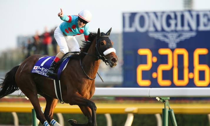 まぁアーモンドアイの指差しはジャパンカップでレコード勝ちした時の