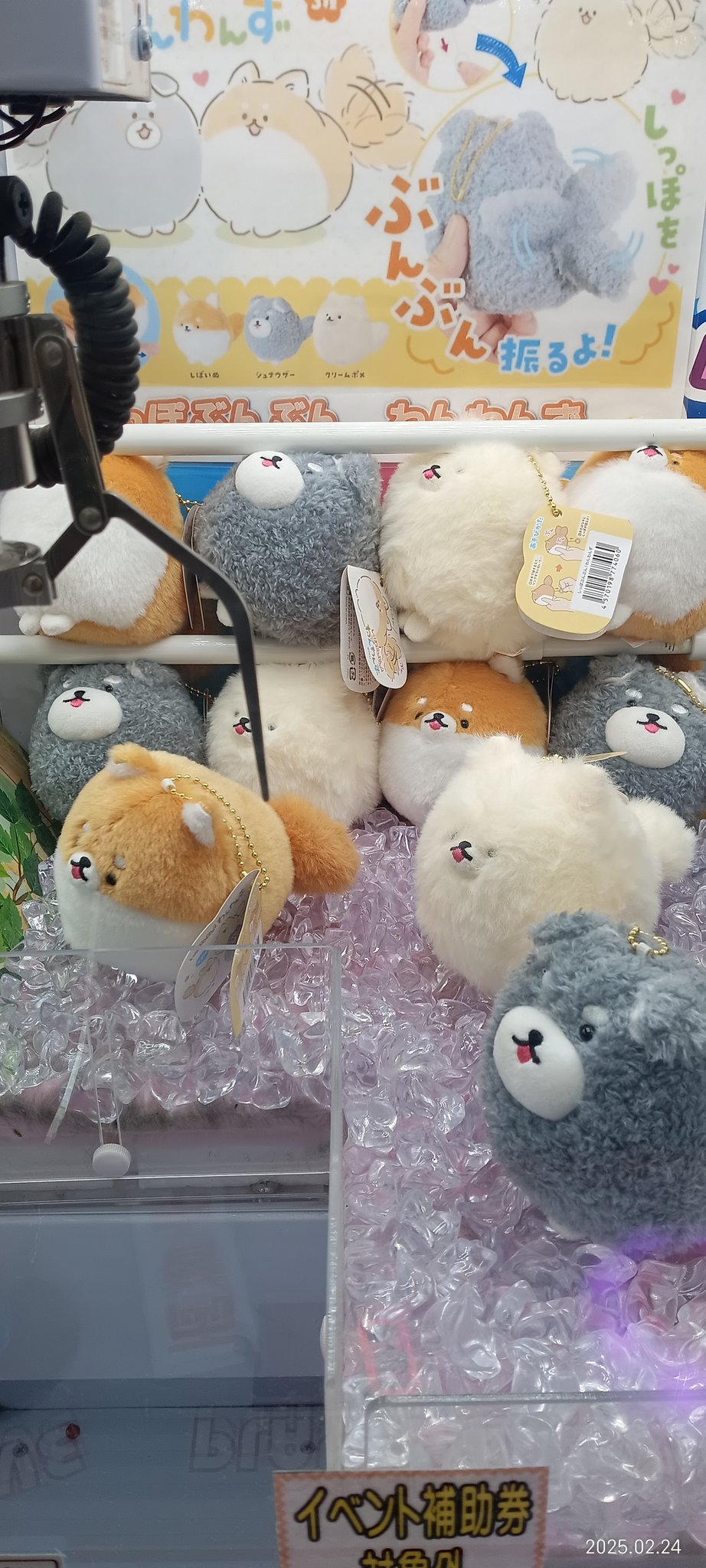 わんわん！RUSH　wow！　箱の中身全部　31種　箱は付きません！ りすはむず！@秋個展は10/25,26🍁 on X: 