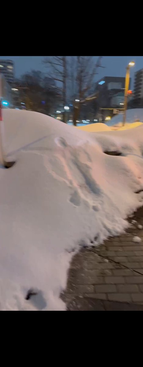 酔っぱらった上に、関東で出会う事のないサラサラ雪にはしゃぎまくった我々が北海道に残してきた爪跡です
お納めください