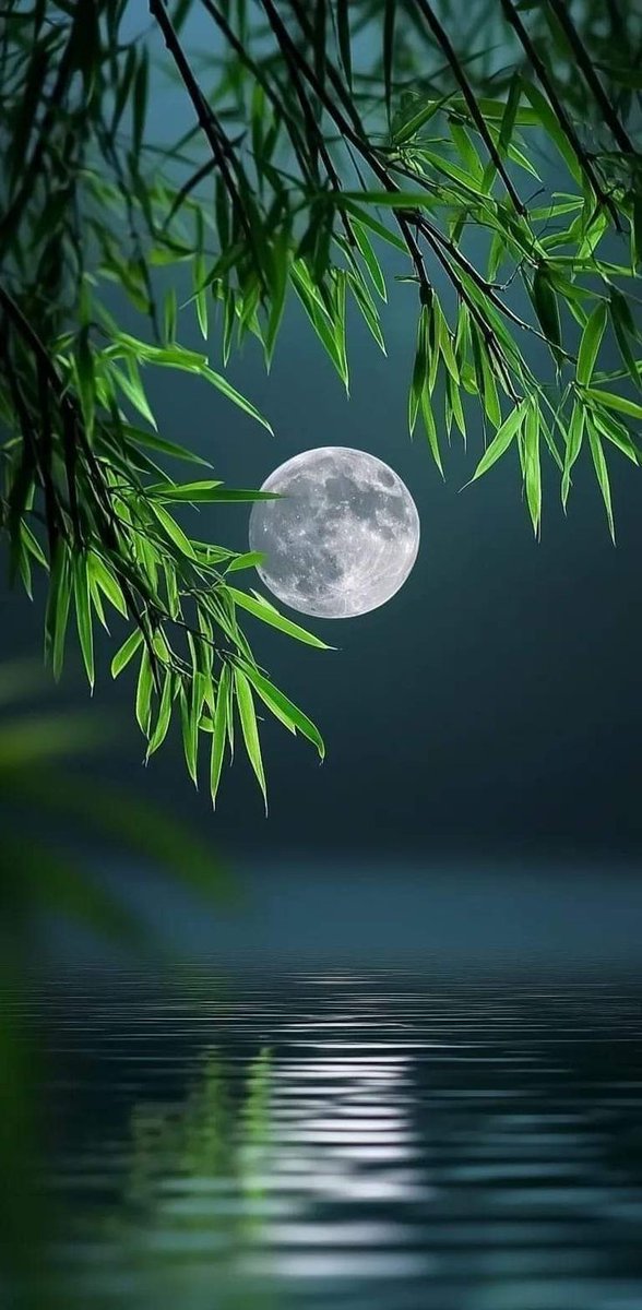 amzngpics's tweet photo. Moon https://t.co/uWKzRUtlnD