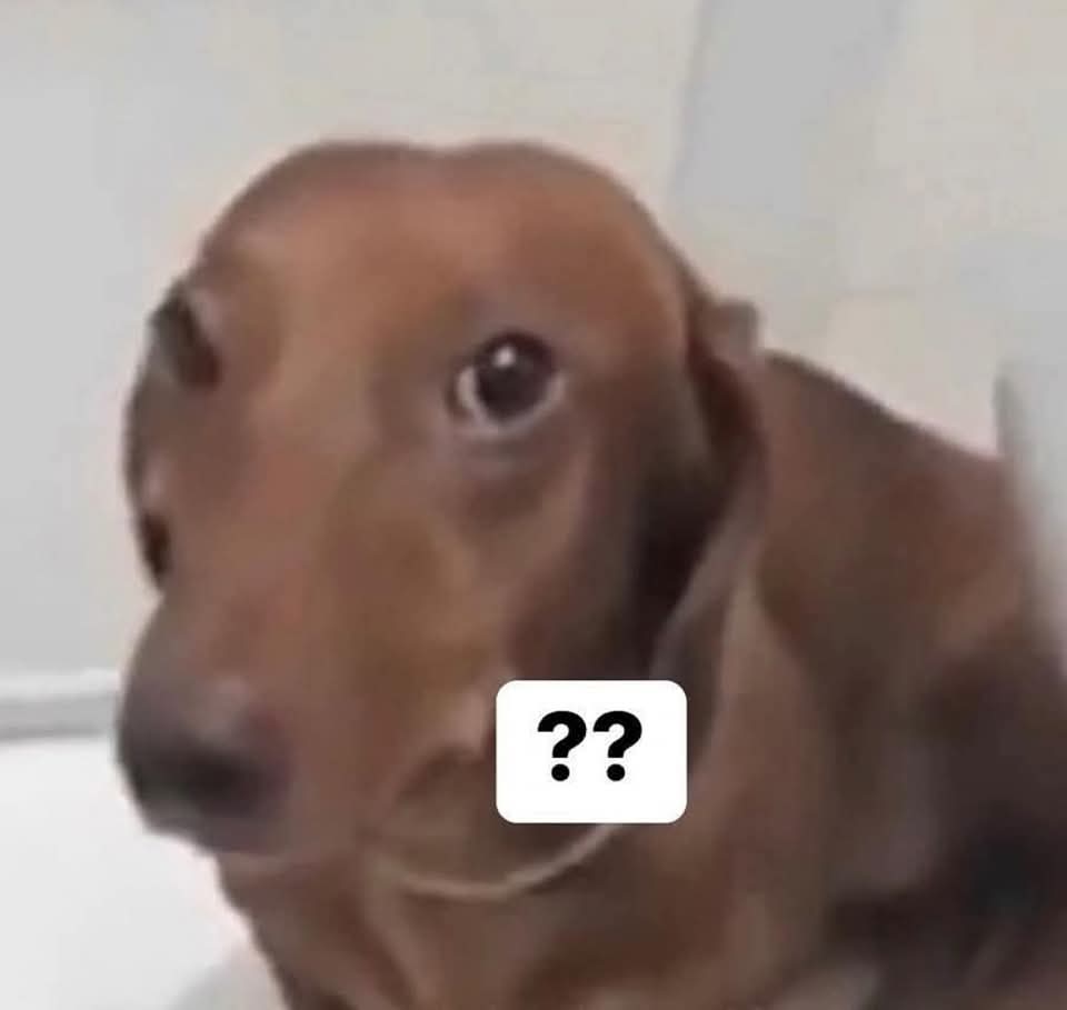cuando veo a un diasporo con la foto del presidente de fondo de pantalla en su celular