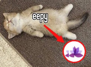 EspySMP's tweet photo. eepy smp 

(created by the most awesome members in the now eepy smp zzzzzzz) https://t.co/Hwb8Ht3awr