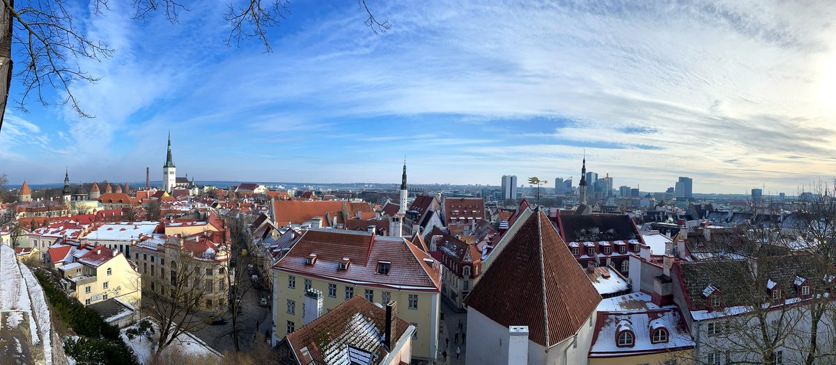 flashover788's tweet image. A fine view across the old town #Tallinn happy #Independenceday #Estonia
