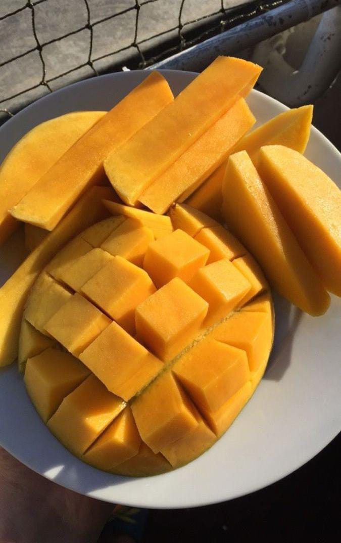 W I D J A Y A tweet media