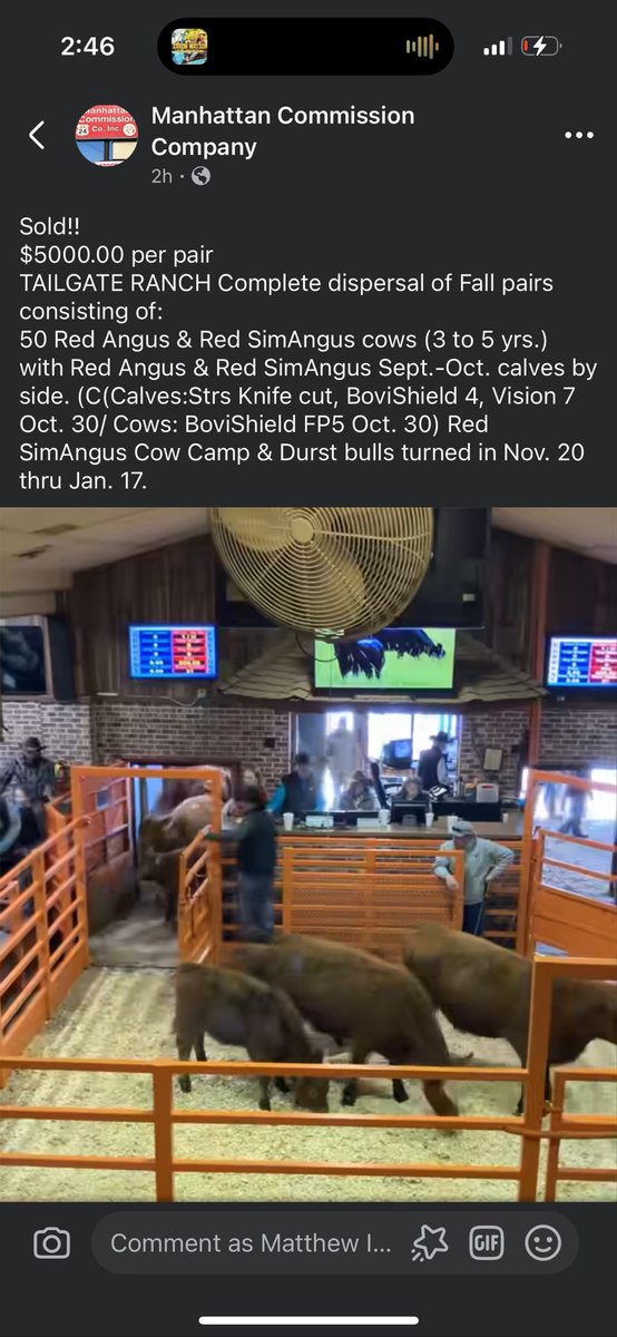 MoYield's tweet image. Manhattan livestock selling $5,000 pairs. The cattle business “can” be fun.