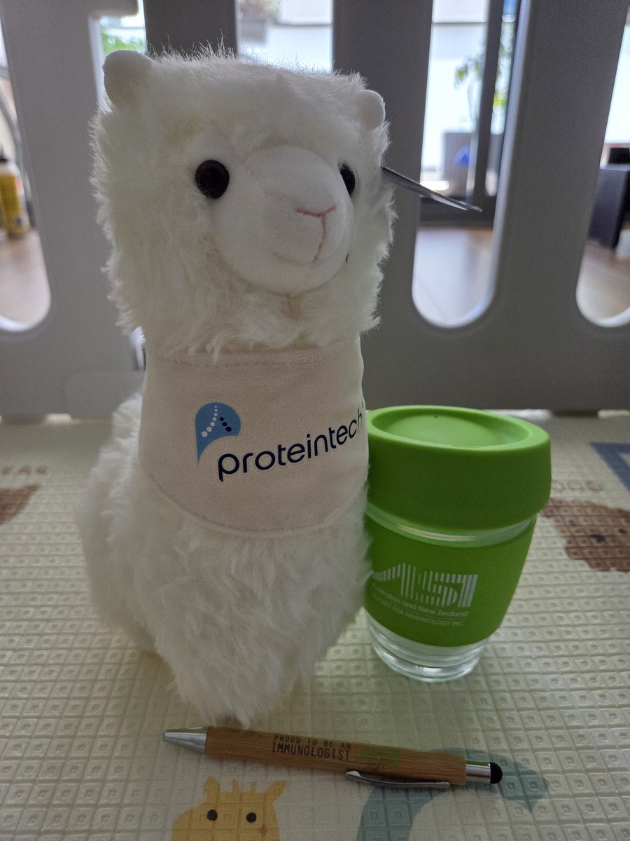 Sj Sijie Shen (@sjsijieshen) on Twitter photo Definitely proud to be an immunologist!!
Thanks for the cute little gift <a href="/ASImmunology/">Australian and New Zealand Society for Immunology</a>
I'll give it to the little one when he can play with it 😏 Definitely proud to be an immunologist!!
Thanks for the cute little gift <a href="/ASImmunology/">Australian and New Zealand Society for Immunology</a>
I'll give it to the little one when he can play with it 😏