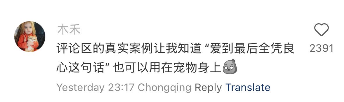 哈哈哈🤣