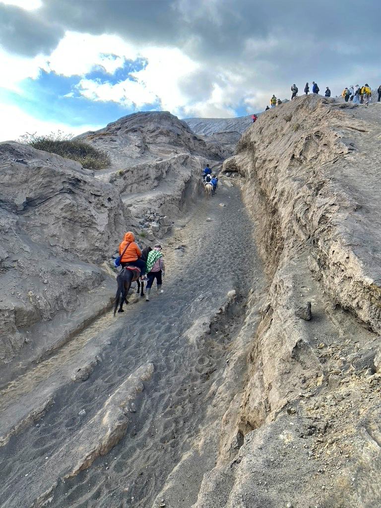 JogjaExplore's tweet image. Java's Volcanic Trilogy 6-Day Jogja, Bromo, and Ijen
This 6 days tour unveils the dramatic landscapes of East Java, combining the cultural richness of Jogja volcanic wonders of Mount Bromo and Ijen Crater. Admin
More click jogjaexplore-tours.com/jogja-bromo-ij…
#javaoverlandtour #javatour
