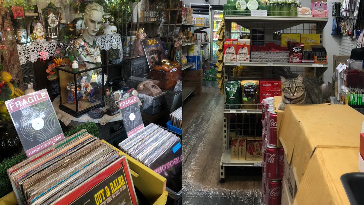 hello .ᐟ #studytwt 🤍 #archivetwt 🌳 #lifetwt 🎐

about me: 

꩜ 03, she/her, infp-t
— 4th yr medical biology senior 🏛️🏹
— med school 🔜

i L!Ke: txt, svt, bnd, cats, dance, films, opm, smiskis, &amp; nyotas 😗

↺ / ♡ if you want to be mutuals !! 🖇 i wld love to b friends :-)