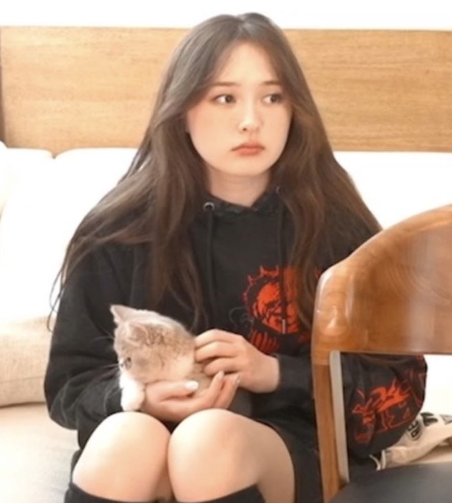 daily tina (@mytinakitten) on Twitter photo 