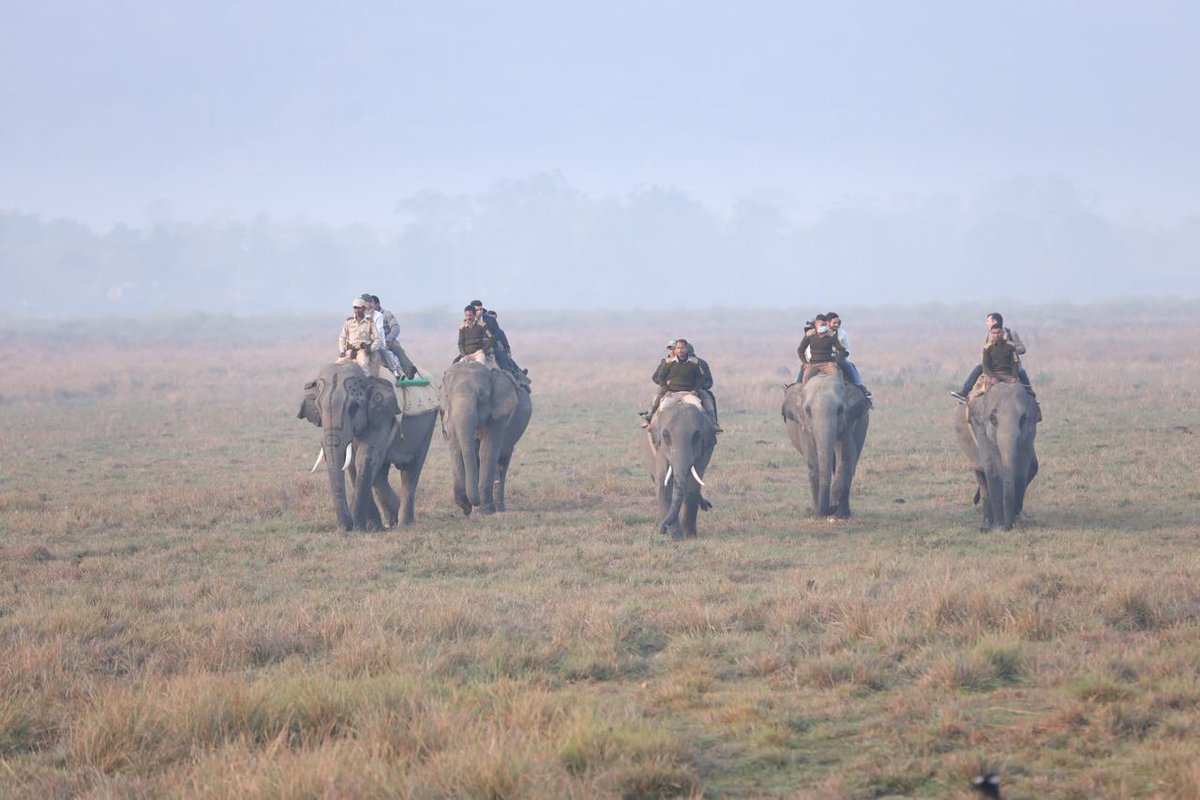 SikkimMedia's tweet photo. Before attending the Jhumoir Binandini Event and Advantage Assam 2.0 in Guwahati, EAM Dr. S. Jaishankar and Heads of Missions explored Assam’s rich wildlife with a safari at Kaziranga National Park’s Kohora Range. #AdvantageAssam #Kaziranga #EAMIndia
@DrSJaishankar
@PIBGangtok https://t.co/35c3Dco0Wi
