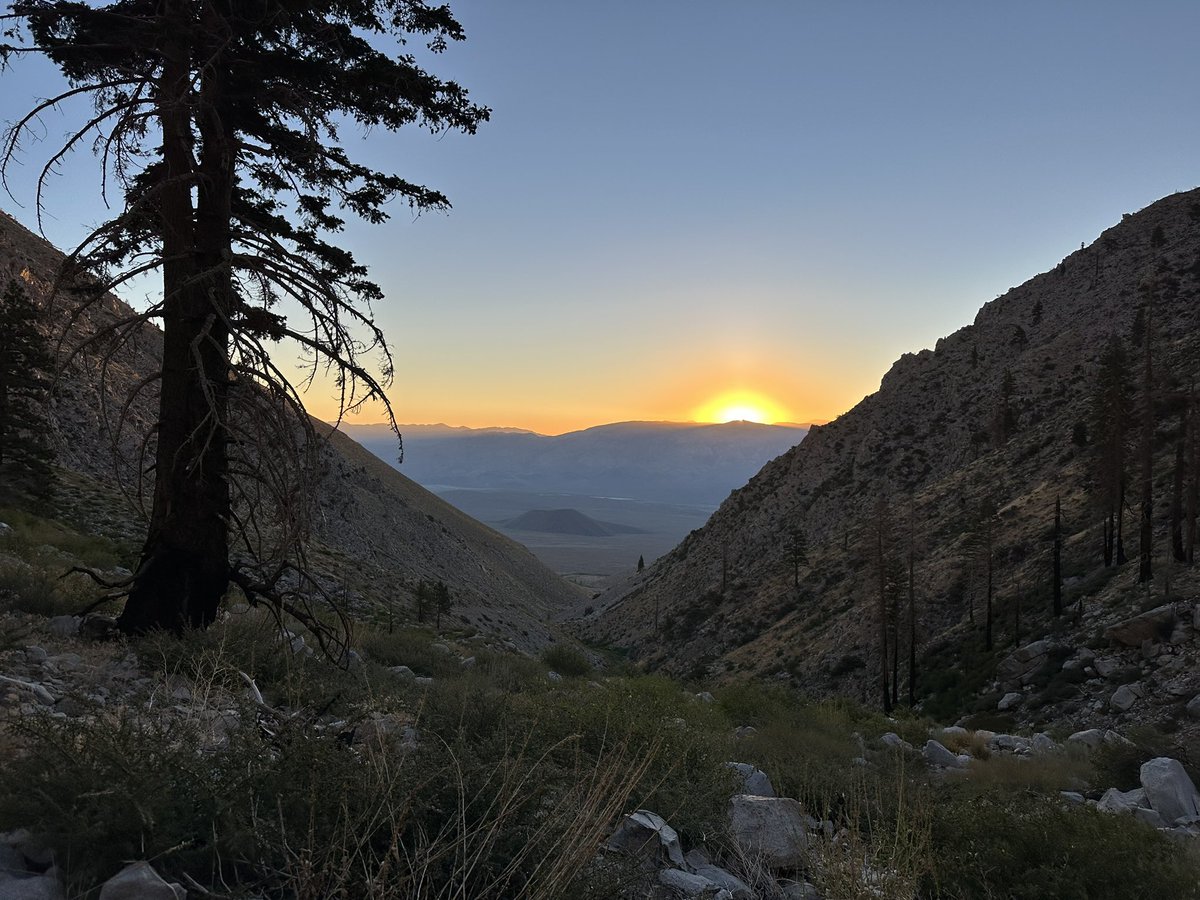 SeanCasserly's tweet image. 2024 Sierra Challenge Day 8
Cardinal Mountain -&amp;gt; Recliner Peak
#summitswagger #peakbagger