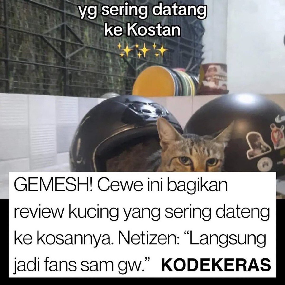 Plis lucuk bgt ini !! bisa - bisa nya mau di bonceng 3 🫵🏼😭
—————
A Thread