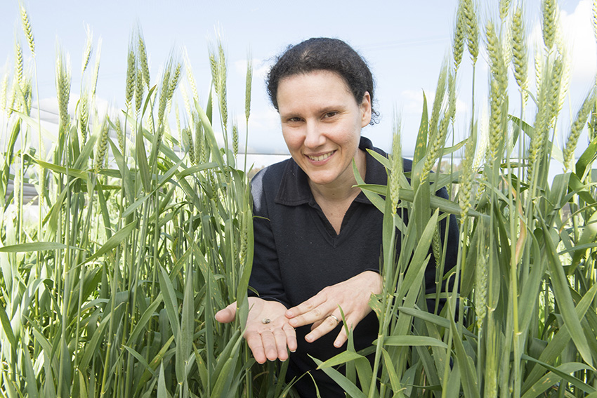 theGRDC's tweet photo. ✨ Biggest congrats to our 2025 GRDC panel award winners for the Western region! ✨

🌟 Seed of Light - West: Svetlana Micic, entomologist at @DPIRDbroadacre 
🌟 Emerging Leader - West: Kate Witham, research agronomist at @SLR_Agriculture 

Read all about the winners ▶️ https://t.co/poNf2bJ8wH

#GRDCUpdate