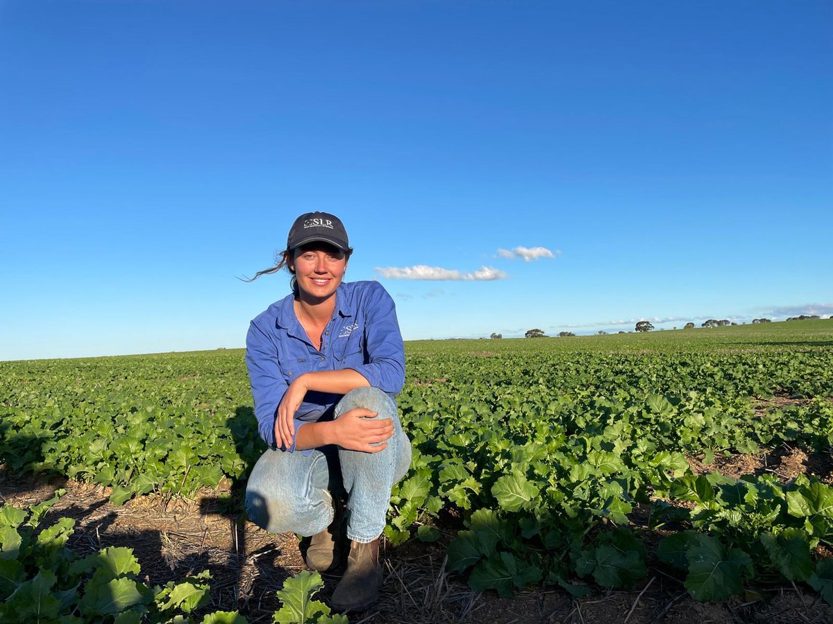✨ Biggest congrats to our 2025 GRDC panel award winners for the Western region! ✨

🌟 Seed of Light - West: Svetlana Micic, entomologist at <a href="/DPIRDbroadacre/">DPIRD Broadacre - WA Grains & Livestock</a> 
🌟 Emerging Leader - West: Kate Witham, research agronomist at <a href="/SLR_Agriculture/">SLR - Field Research | Extension</a> 

Read all about the winners ▶️