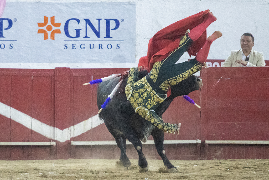 javierhoyos's tweet image. Corrida 7 del serial 2025 en la Nuevo Progreso de Guadalajara @emsa_gdl , tarde complicada, el Sevillano recibe una cornada en el muslo derecho, el español David Galván, sale al tercio y Pepe Murillo simplemente decepciona.