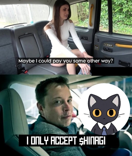 My submit meme sir <a href="/hinagithecat/">$HINAGI</a> 
#hinagi #hinagiarmy