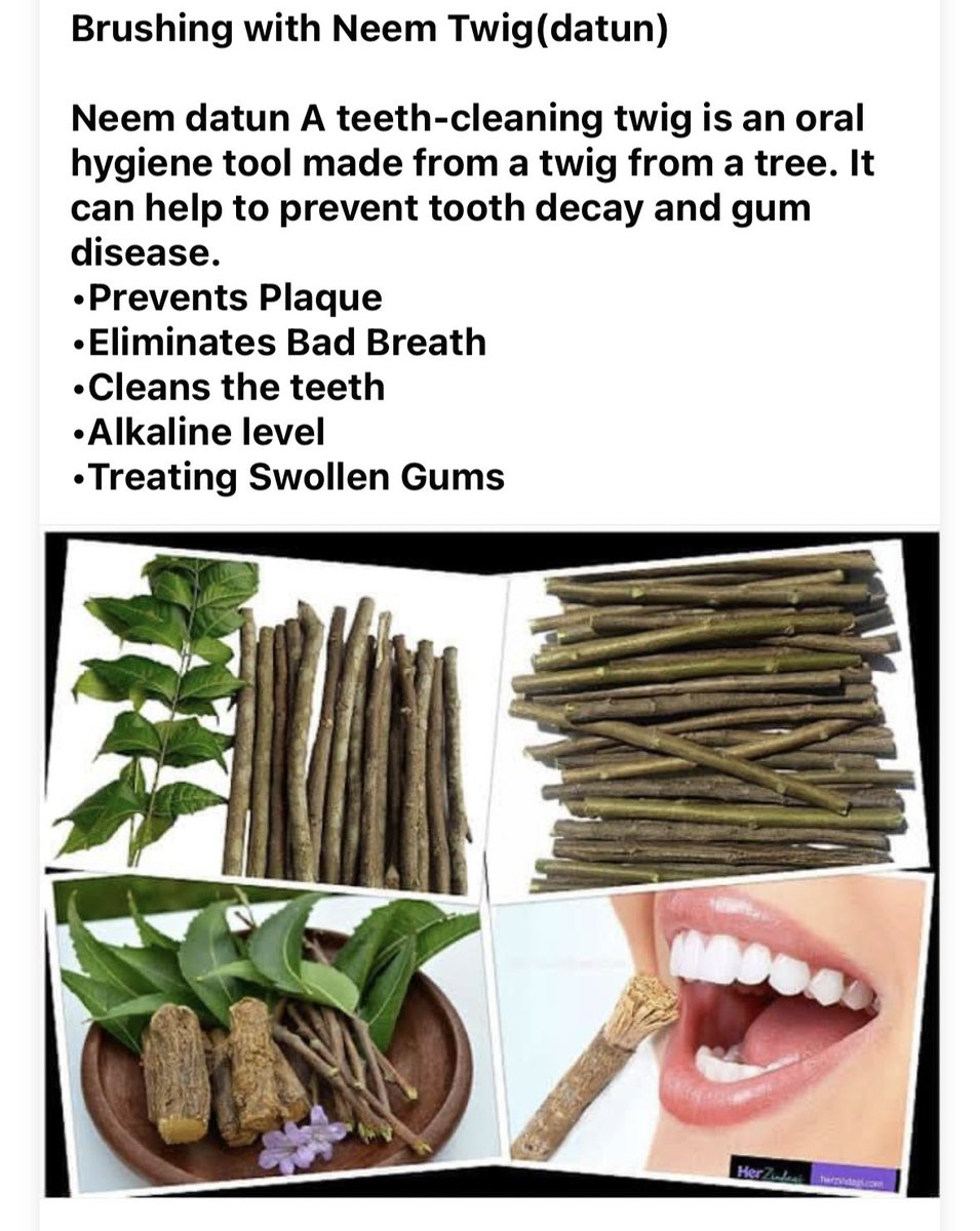 ishatpal's tweet photo. #Neem #twig #datun https://t.co/vmMFxES77j