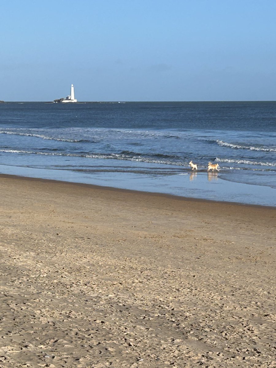 Ann Cleeves (@anncleeves) on Twitter photo Beautiful day at the Bay! I hope the sunshine lasts until the weekend and โฆ<a href="/bay_tales/">Bay Tales #baytales26</a>โฉ . See you all there! Beautiful day at the Bay! I hope the sunshine lasts until the weekend and โฆ<a href="/bay_tales/">Bay Tales #baytales26</a>โฉ . See you all there!