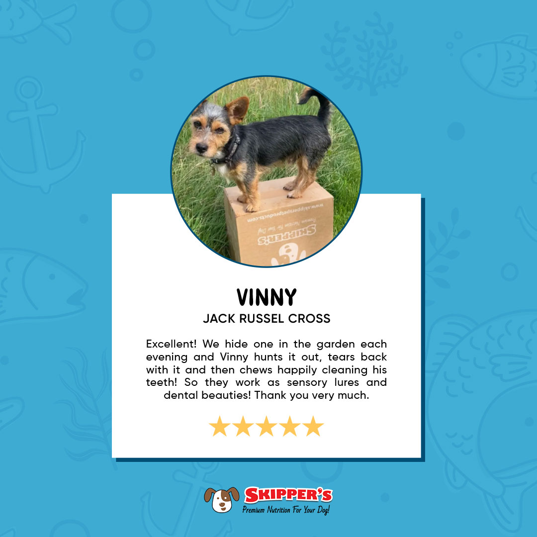 "They work as sensory lures and dental beauties!" 🐾 Only the best results when you choose 100% natural Dog Dental Chews from Skipper's 😁🐶
#skipperspetproducts #dogdentalchews #naturaldentalchews #naturaldogtreats #ukmadetreats