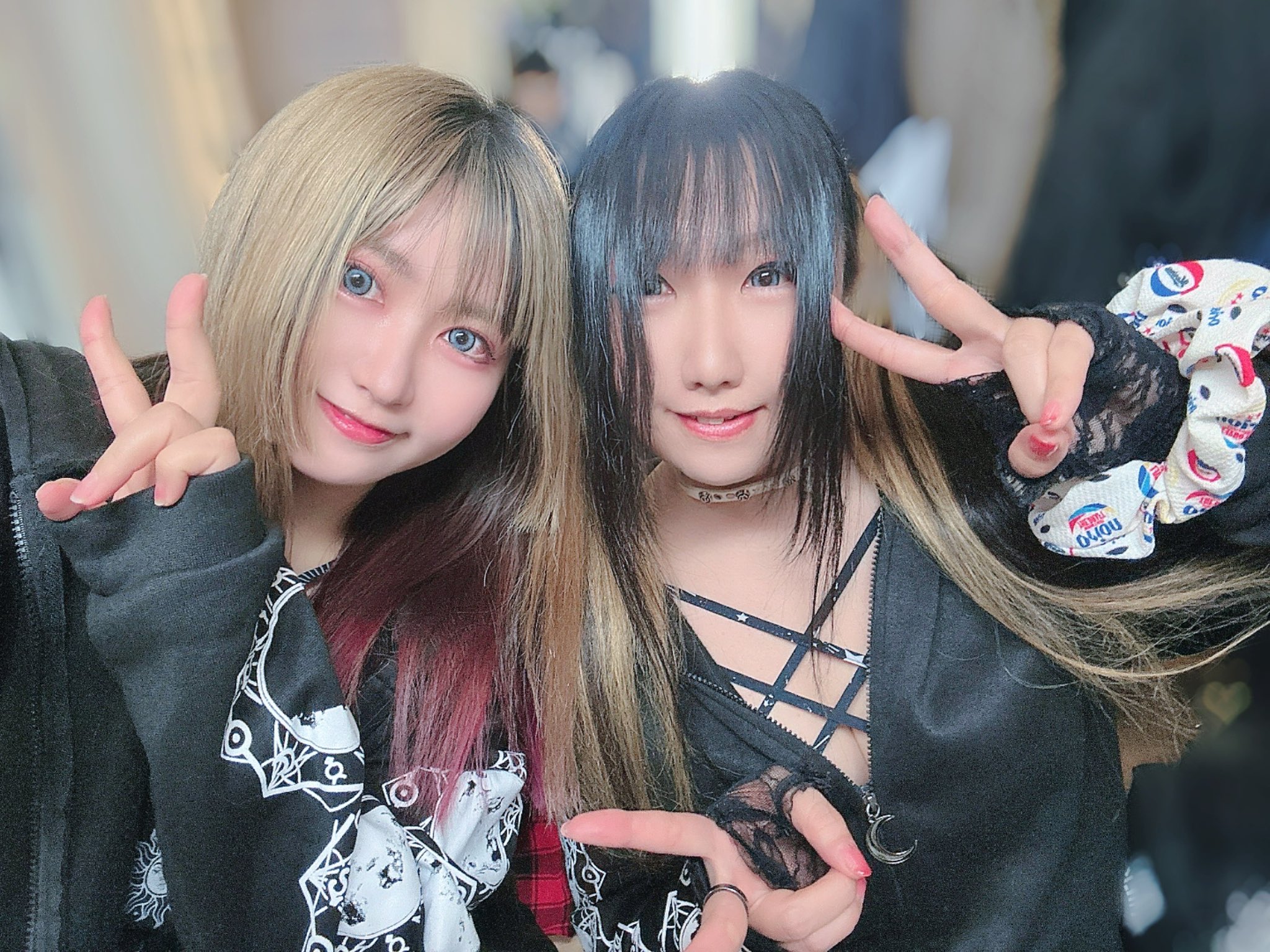 🖖🏻シノン/紫音🐟(シノンちゅう🐱) (@shinon_dx) / X