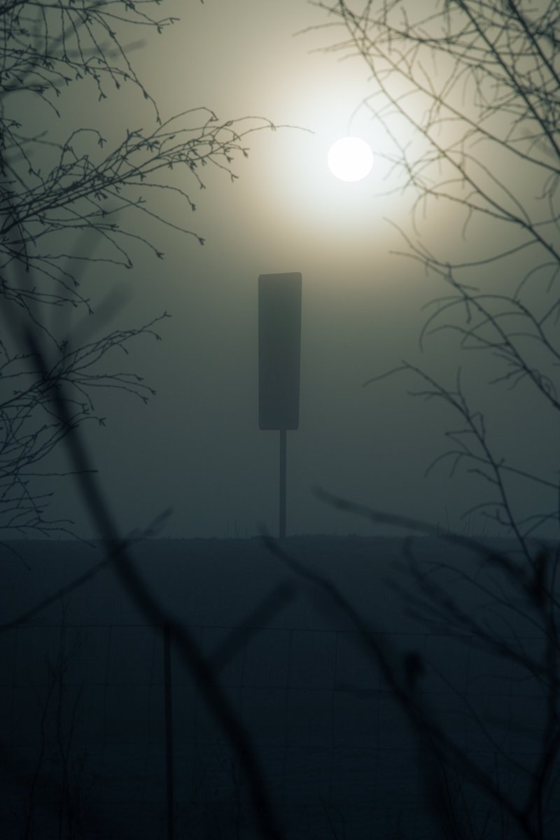 Darte Fex tweet media