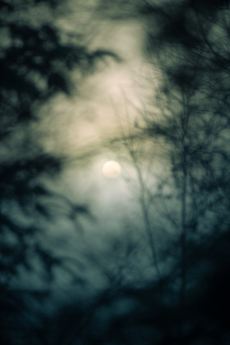 Darte Fex tweet media