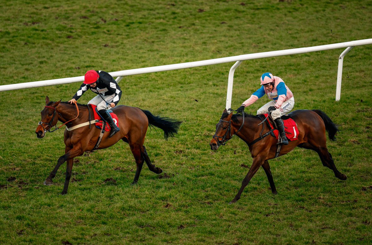 Fitzdares's tweet photo. ☘️ It's been just over a year since his last hat-trick, but our Ambassador @benpauling1 has done it again at Kempton this weekend...
All three runners to win was a 211/1 treble!
#Mambonumberfive #Bad #OurBoyStan | 18+ | Please Play Responsibly. https://t.co/oJy3zQV8LM