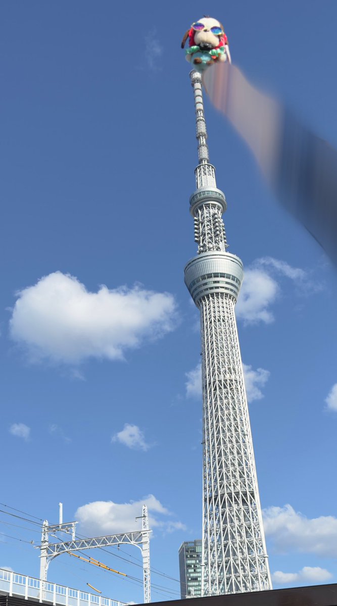 ぼすは634めーとるにものぼれる

#ぼすさんぽ