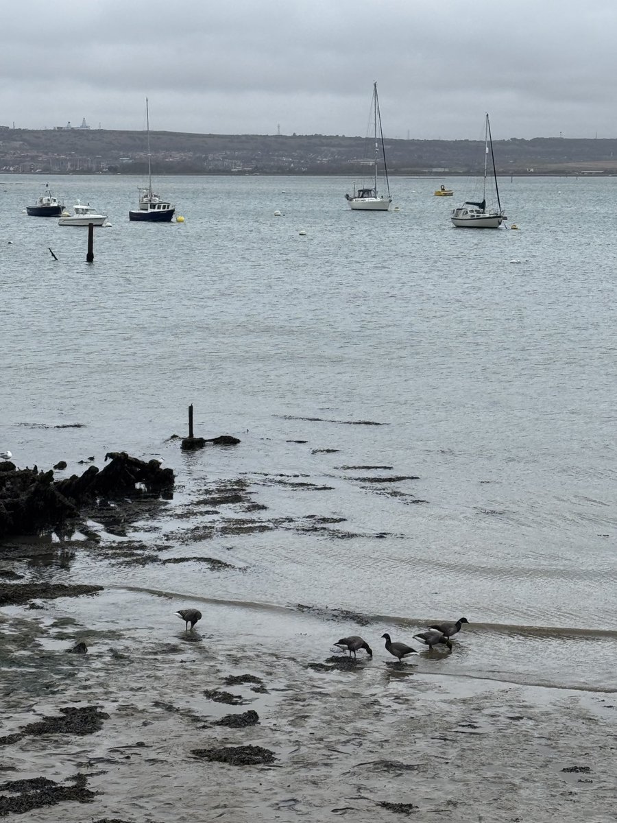 Debbie Chatting tweet media