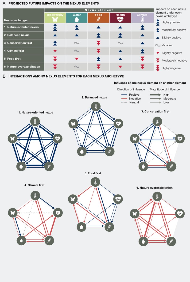 🔍#Biodiversity. Water. Food. Health. #ClimateChange. All of them interact and intersect but how?

Check this new graphic from the <a href="/IPBES/">ipbes</a> #Nexus Assessment and explore the interactions among the nexus elements.

Access the Report: ipbes.net/nexus/media-re…