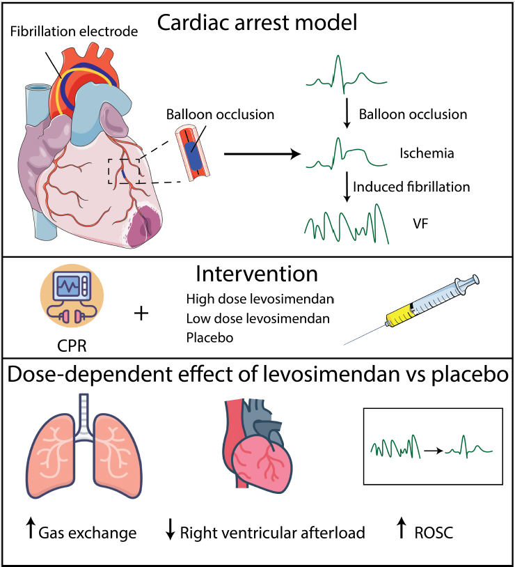 EJ Anaesthesiology tweet media