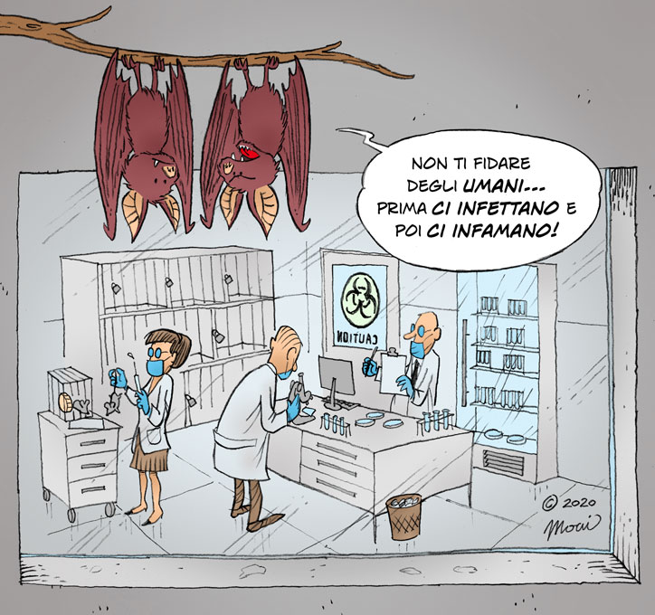 Per la serie: "più conosco gli uomini e più amo gli animali!"🔬🧬🦇

#Bats #COVID19 #Wuhan #HKU5 #BigPharma #NoVaccineMandates #IdoNotForget