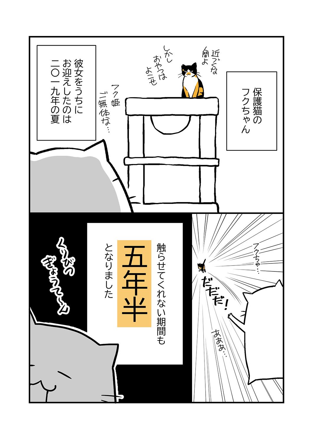 楢崎壮太 (@narazaki_souta) / X