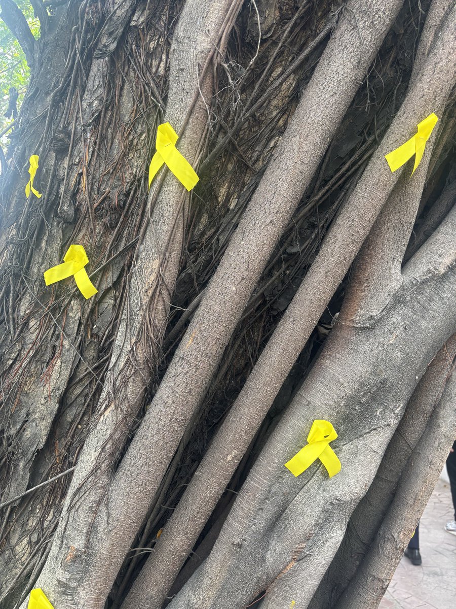 rapplerdotcom's tweet photo. Adamson University puts up yellow ribbons and banners marking the 39th anniversary of the EDSA People Power Revolution, as seen in a Facebook post by the university’s president, Danny Pilario.

“Yellow was a color of resistance. It was not only about Cory or Ninoy but about what their lives symbolized — martyrdom, hope, and love of country. It was also more against Marcos, against Martial Law, against the repression — and all that he represented,” Pilario says. #EDSA39