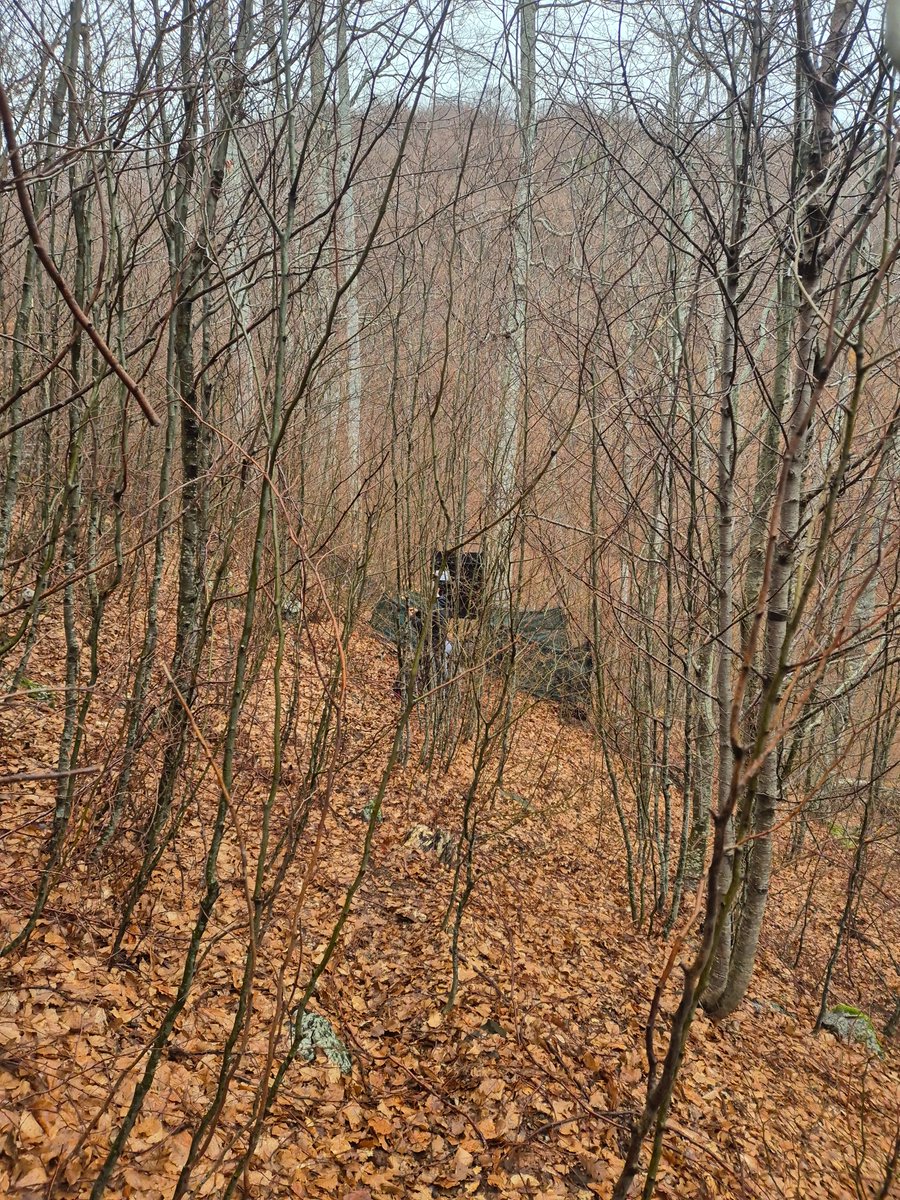 📡 PPNEA has started monitoring the #BalkanLynx in Munella using box traps to GPS-tag an individual. This first-ever tagging in Albania will provide key data on habitat, prey, and movement. #BalkanLynxRecoveryProgramme