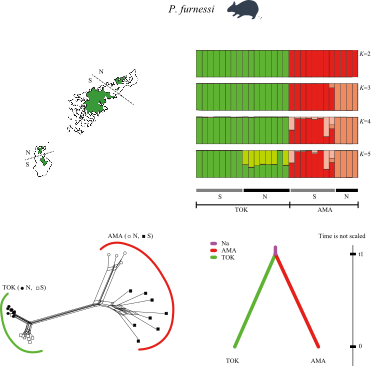 World Lagomorph Society tweet media