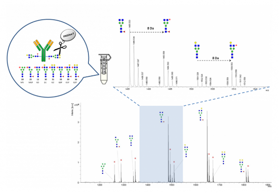 Asparia Glycomics tweet media