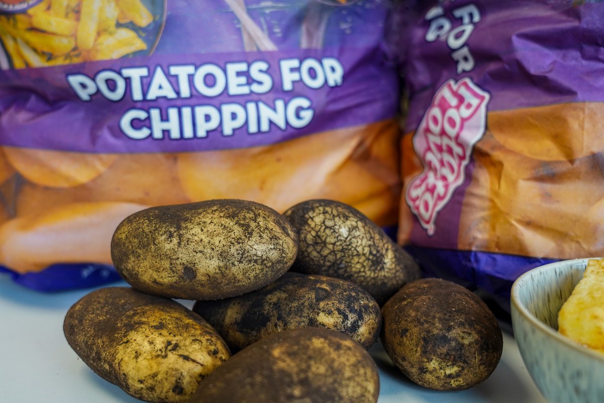 Nationwide Produce PLC tweet media