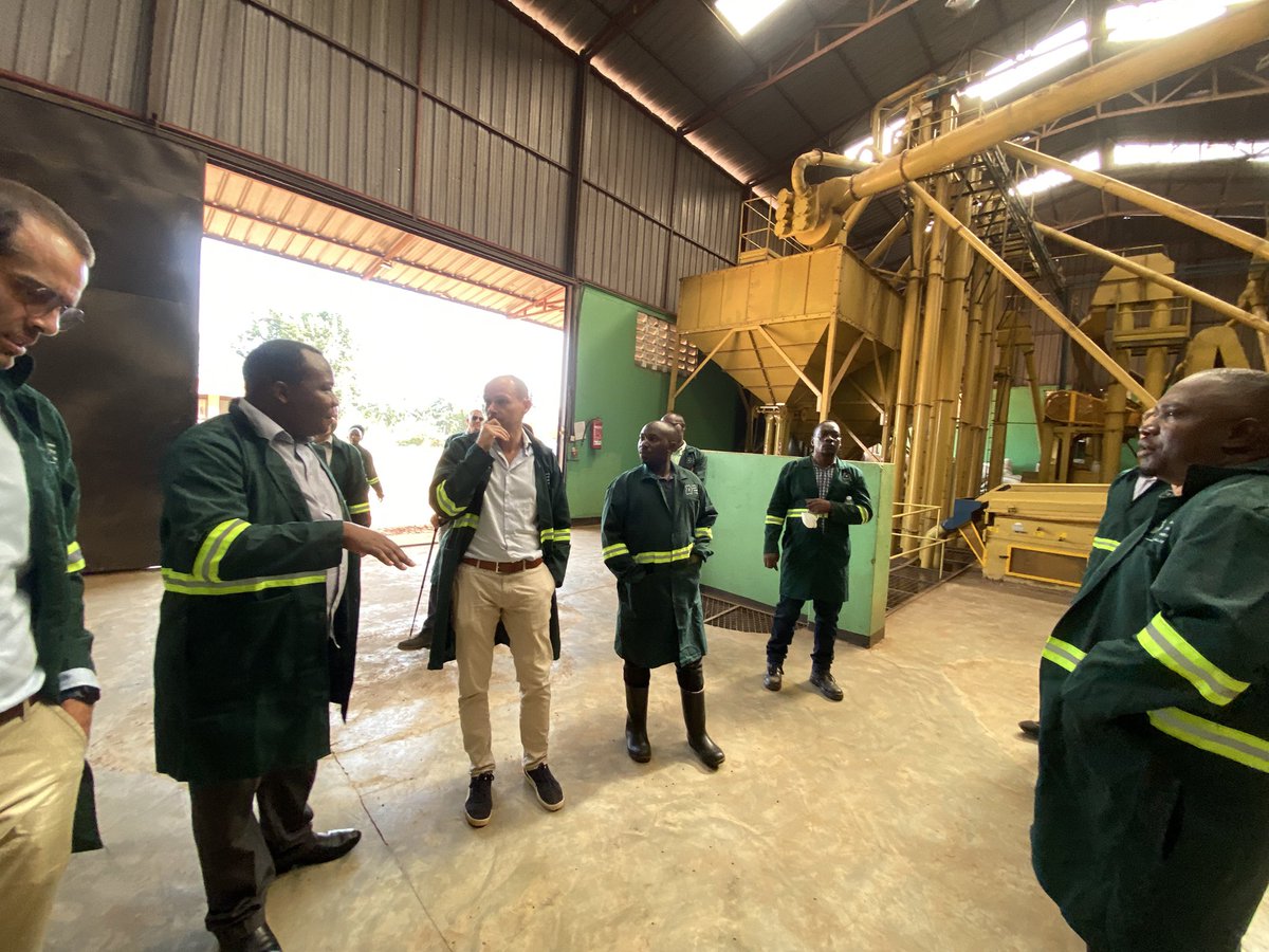 Muganzisecure's tweet image. Today as a coffee farmer i am humbled to hosted heads of cooperations from @EUinUG member states as part of their Field visit to central Uganda for the @ROBUST_DeSIRA project . We took them around our facility for them see how far we are trying to empower coffee farmers