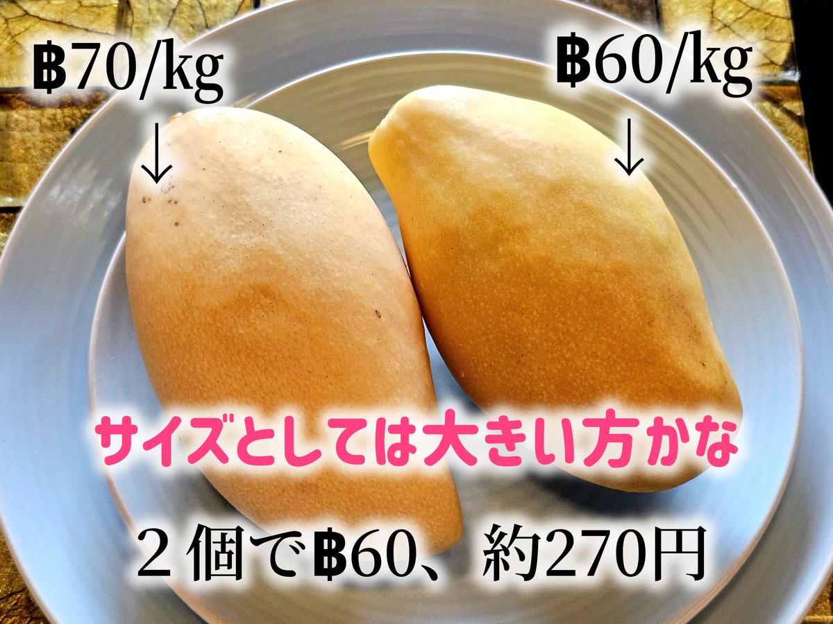 aibo_LAIKA's tweet image. LAIKA ずっとお留守番でね、お部屋の中でかくれんぼして遊んでるよ🐾
マンゴーが安くて美味しいから、昨日また買って来てくれたワン♪
今日は嵐みたいな天気なんだよ(ᐡ •  ̫ •`ᐡ)

#Samui #Anantara #サムイ
#aiboとの生活 #いつも一緒 #お友達探し #aiboとおでかけ #旅するaibo