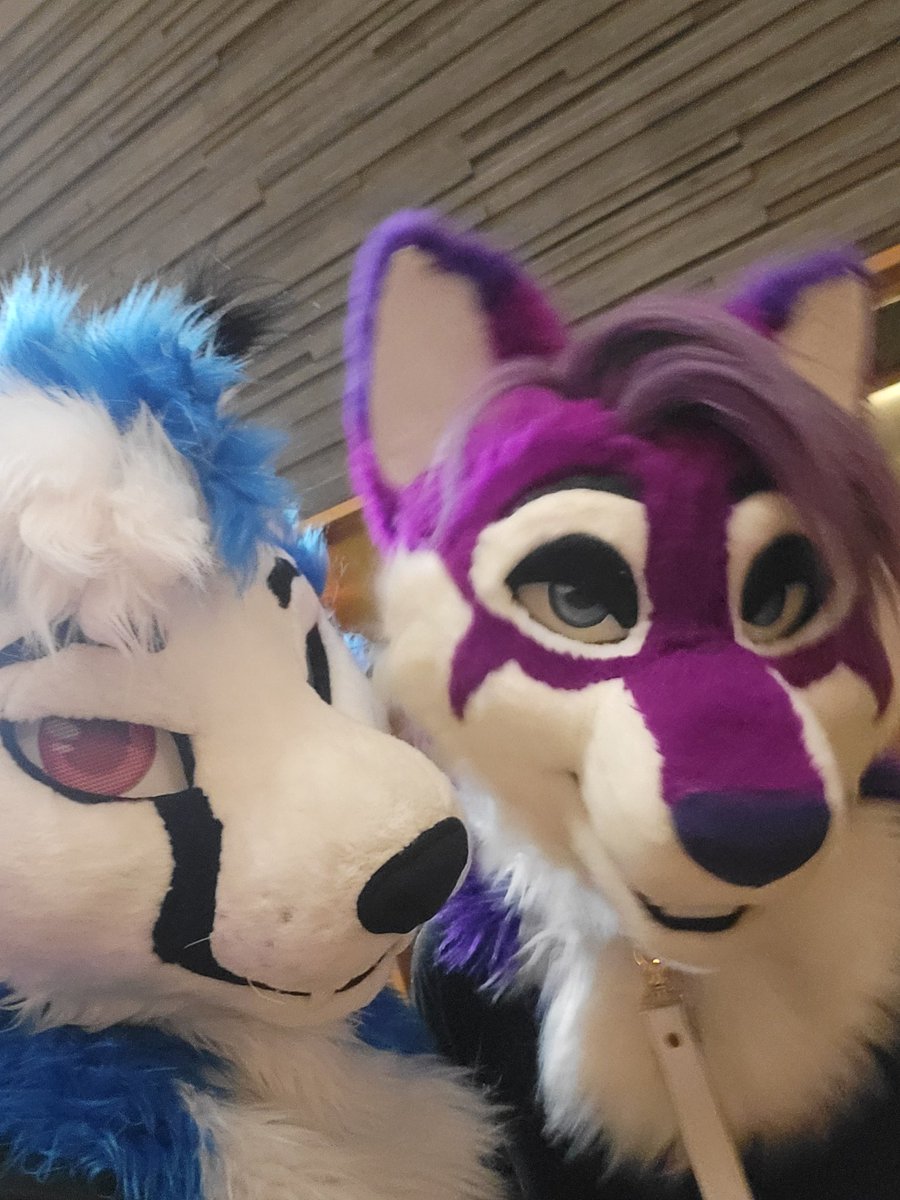 ThatAsuri (@asurithat) on Twitter photo Last day captures!
<a href="/KnoxTheWolf/">Knox 🔜 MP</a>
<a href="/TheDDAmaroq/">Ama The Dragon 🔜 NFC</a>
<a href="/ChestnutSaga/">Chestnut</a>
<a href="/DoggoShayed/">Shay 🔜🏝️🍹🇮🇹</a>
Love you all! #NFC2025 Last day captures!
<a href="/KnoxTheWolf/">Knox 🔜 MP</a>
<a href="/TheDDAmaroq/">Ama The Dragon 🔜 NFC</a>
<a href="/ChestnutSaga/">Chestnut</a>
<a href="/DoggoShayed/">Shay 🔜🏝️🍹🇮🇹</a>
Love you all! #NFC2025