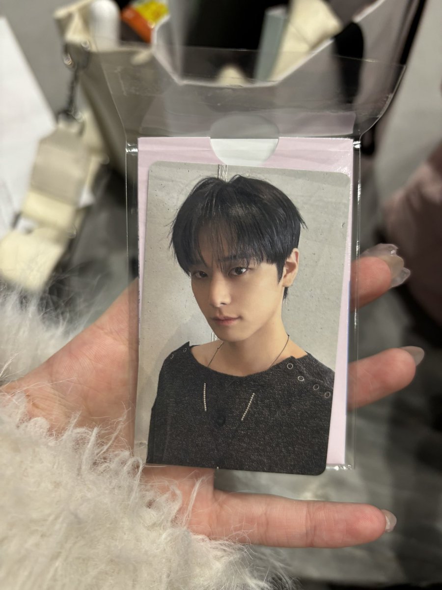 🦭♡ tweet media