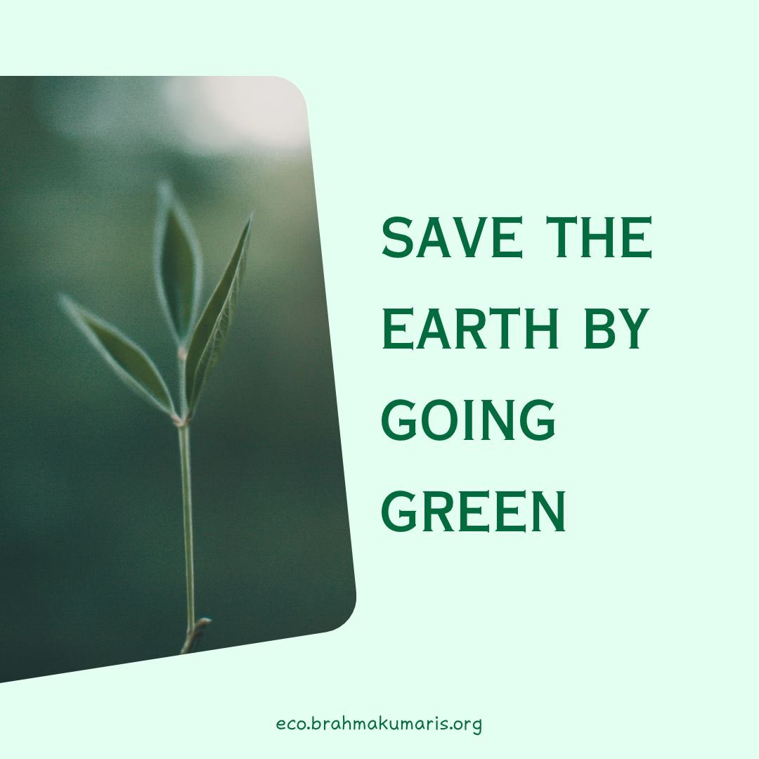 EcoBrahmaKumari's tweet photo. Save the Earth by going #Green.
#ClimateWisdom
#FabFebruary
#ecobrahmakumaris #environment https://t.co/kg8uu3nWbl